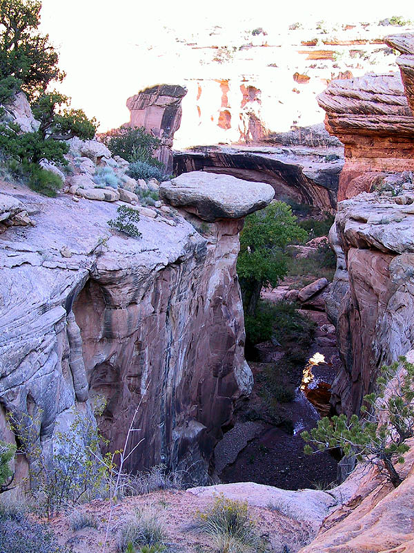 Canyoneering 2002: 55: First Rappel