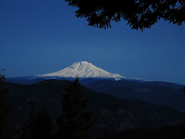 Mt Defiance 2004: Mt Adams