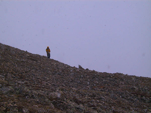 Mt Elbert 2001: Julie in the Snow