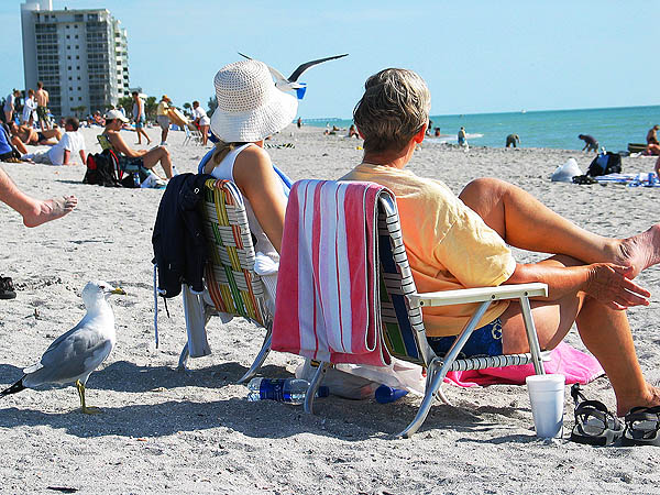 Florida 2004: Seagull Waiting