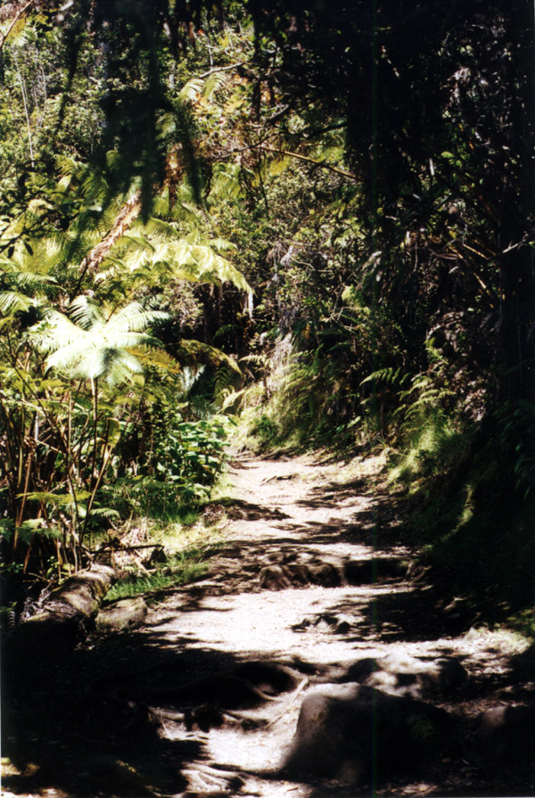 Hawaii: Kilauea Trail Up
