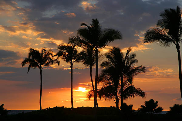 Hawaii 2006: Hawaiian Sunset 3