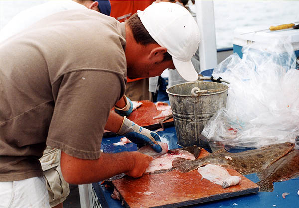 Massachusetts 2001: Cleaning Fish