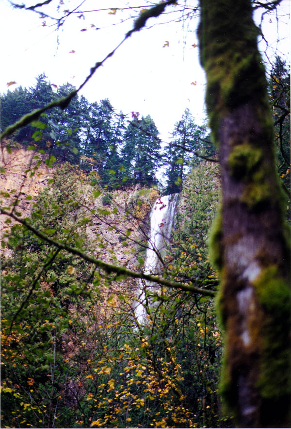 Multnomah Falls: Falls Framed