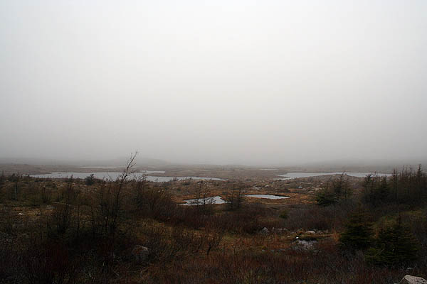 Newfoundland 2005: Newfoundland Landscape