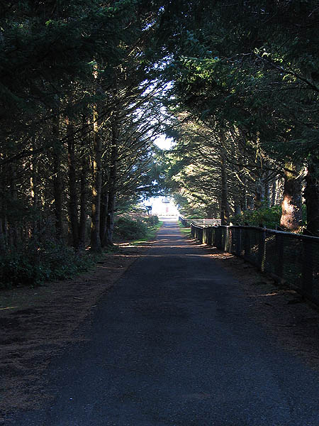 Oregon Coast 2005: To the Lighthouse