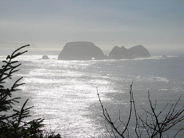 Oregon Coast 2005: Three Arch Rocks 02